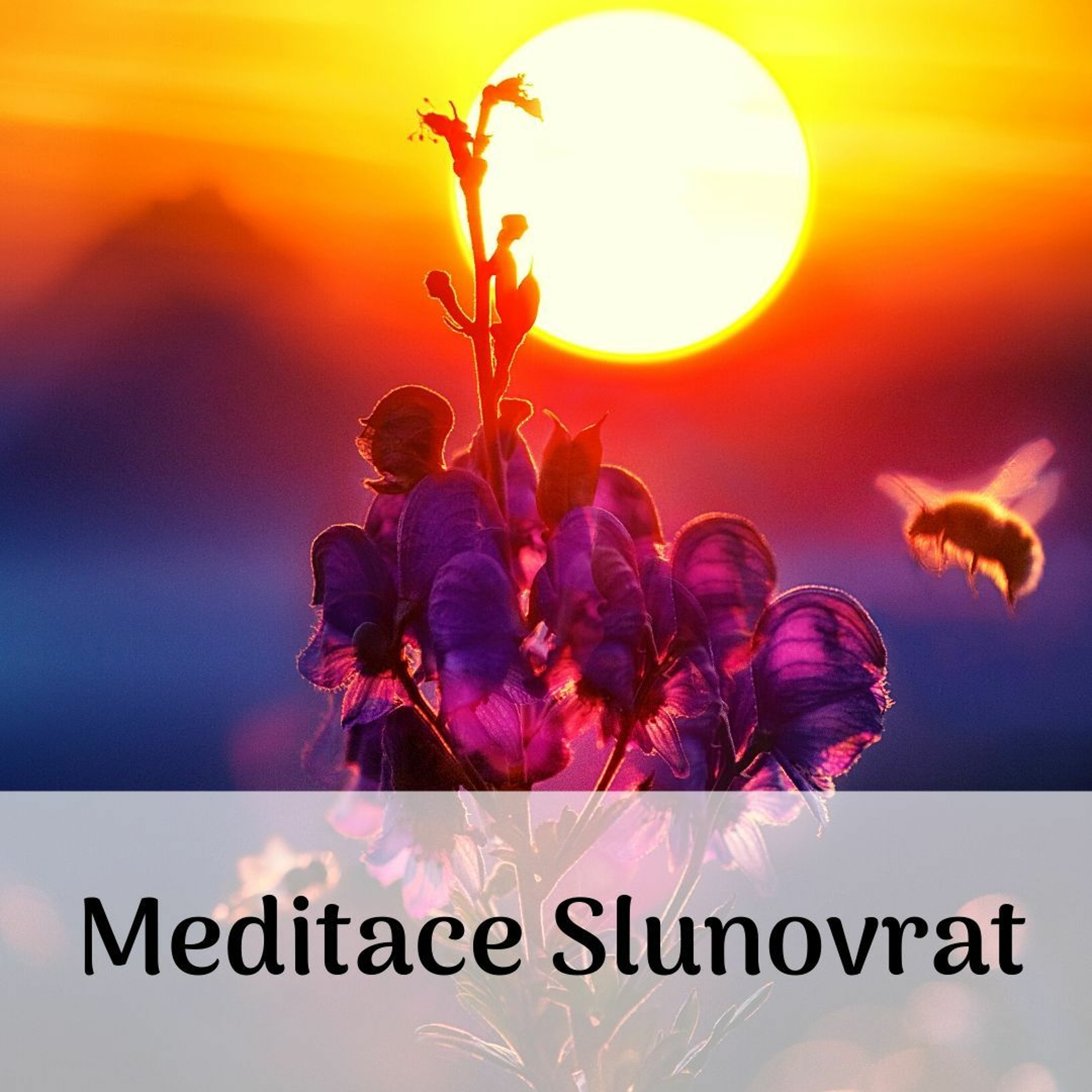Síla pro život