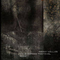 Ebony Willis @ Wild Horses Festival 2023