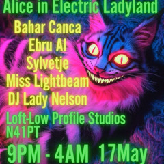 Alice in Electric Ladyland 17.05.25 - The Ouroboros Foundation