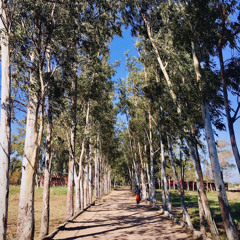 Ilyjxnvs & chyon ( Vai )