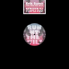 Erik Sumo - Run Into The Wild (M.W.D. remix)