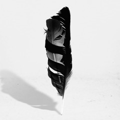 PREMIERE : Lady Blackbird - Beware The Stranger (Matthew Herbert's Wanted Remix)