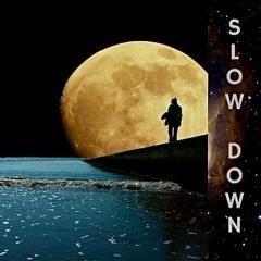Slow Down  (Ft Docfritz and Joerxworx )