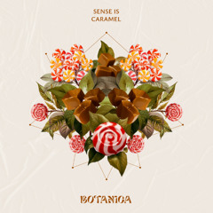 LTR Premiere: Sense IS - Caramel (Extended Mix) [Botanica]