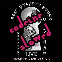 Beat Dynasty Sound @ VeniVidiVici Promo Mix #1 (Slowed Version)