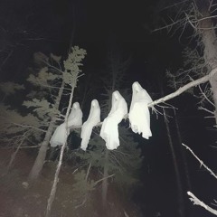 Quieting a Noisy Soul