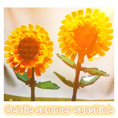 Gentle summer sunshine