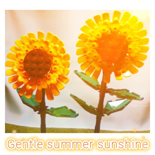 Gentle summer sunshine