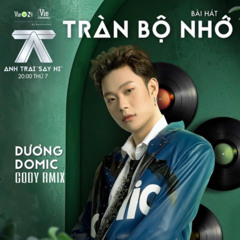 TRAN BO NHO - DUONG DOMIC - CODY RMIX (FREE DOWNLOAD)