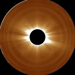 Black-Hole Humanity