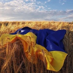 🇺🇦