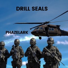 Drill Seals