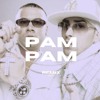 下载视频: Wisin Y Yandel - Pam Pam (Airitto Remix)