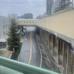 ready or not p. sekaniii