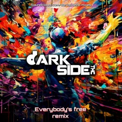 everybody's free remix