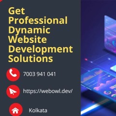 Get - Professional - Dynamic - Website - Development - Solutions