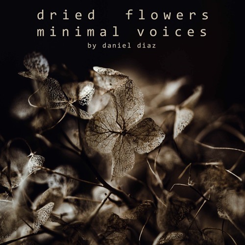 Dried Flowers Minimal Voices (disquiet0435)