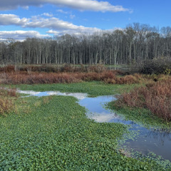 Thank God (prod. Julian ceasar) (music video out now on youtube)