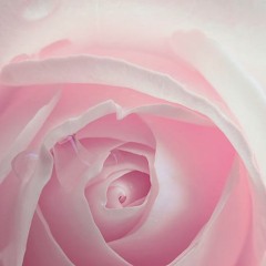 Caturmasya (2023) 10.A - Practice of the Presence of God/dess