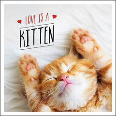 FREE EBOOK 📙 Love is a Kitten: A Cat-Tastic Celebration of the World’s Cutest Kitten