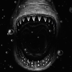 MELODIC OF SHARK 004