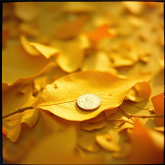 Farewell to the Penny