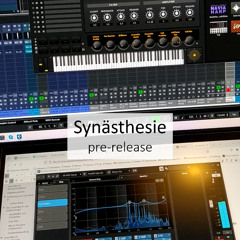 PR - Synästhesie, release: Februar