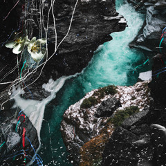 Illegal Alien Digital