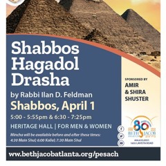 Summary Of Rabbi Feldman’s Shabbos Hagadol Drasha