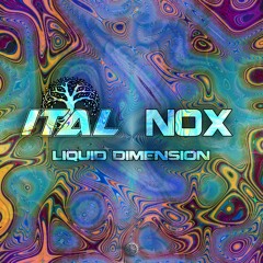 Ital & Nox (CH) - Liquid Dimension