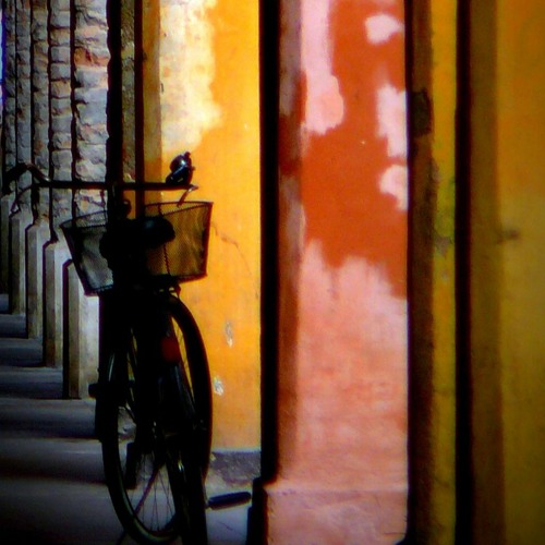 un moment d'égarement