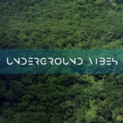 Ahulijing - Underground Vibes #231 (2020.08.04)