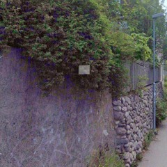 Ronja iloitsee kevätaamusta