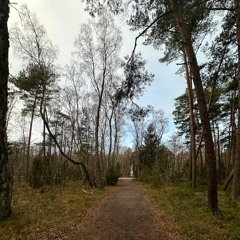 2023-2024 COOP ~ Curating Positions: Deep Listening