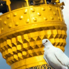 يا طير الصاف - باسم الكربلائي (حسينية)