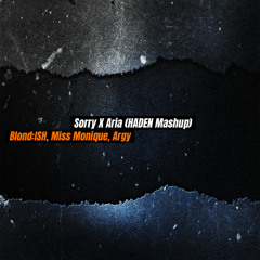Madonna, Argy - Sorry X Aria (HADEN Mashup)  FREE DL IN DESCRIPTION
