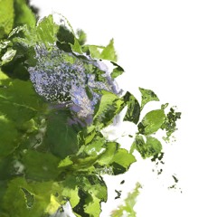 Pods