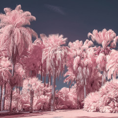 02classic.m4a(kxxdo)