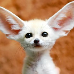 Globatary_mix 2