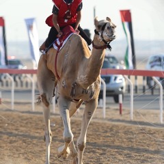 شيلة سياف بن منآنة جا من ورا و الكل تنظر عيانه آدآء هادي بن جابر.m4a