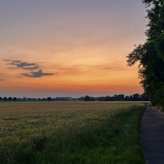 first driving lesson in downtempo