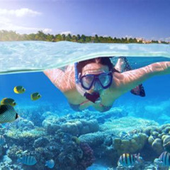 Best Snorkeling On The Big Island Prices Reviews