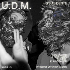 HIGHTAUER & LLIXUS LAND-U.D.M. (PROD. KLANGBAUER)