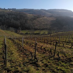 Les Buveurs de Temps / Episode 2 : Les Sur-Sols