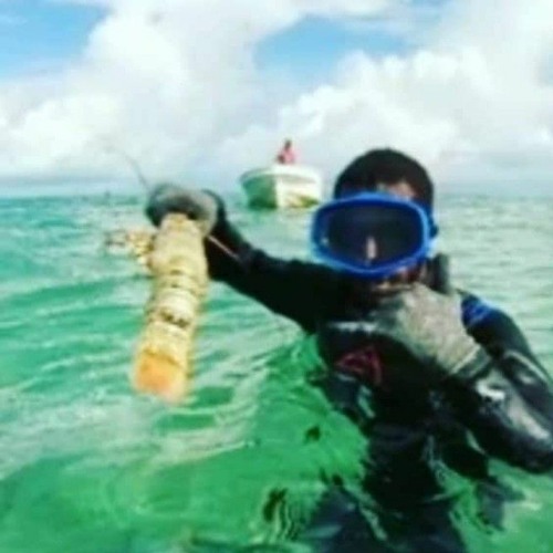 F a l s e L o v e 🇵🇬🔥🎶🍻