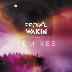 Primal Wakin - Ignis (NOAA Remix)