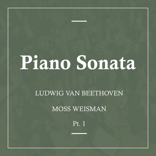 Piano Sonata No. 1 in F Minor, Op. 2: IV. Prestissimo