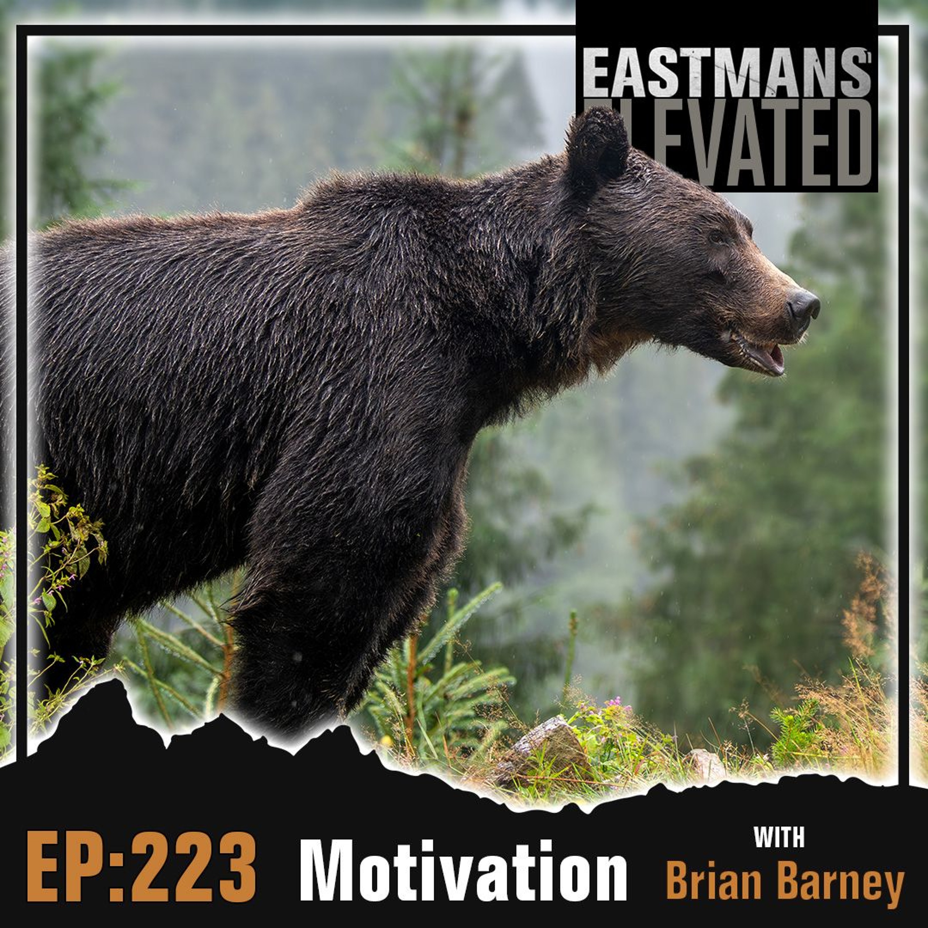 Eastmans\' Elevated