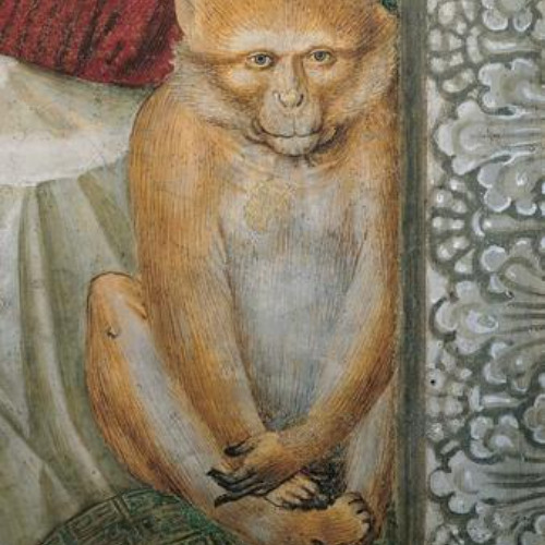 monke WIP v1