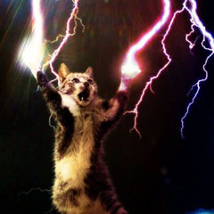 benz steppin p Jeisei